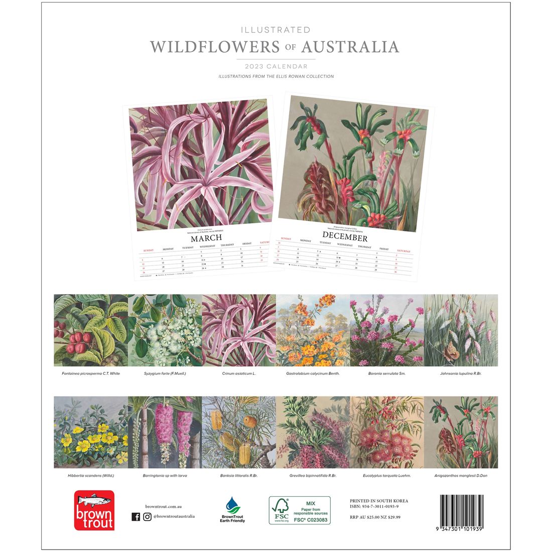 Illustrated Wildflowers Of Australia 2023 Deluxe Calendar | Target