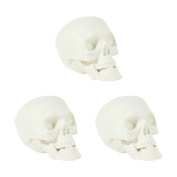 3 Piece Bag of Skulls - Anko