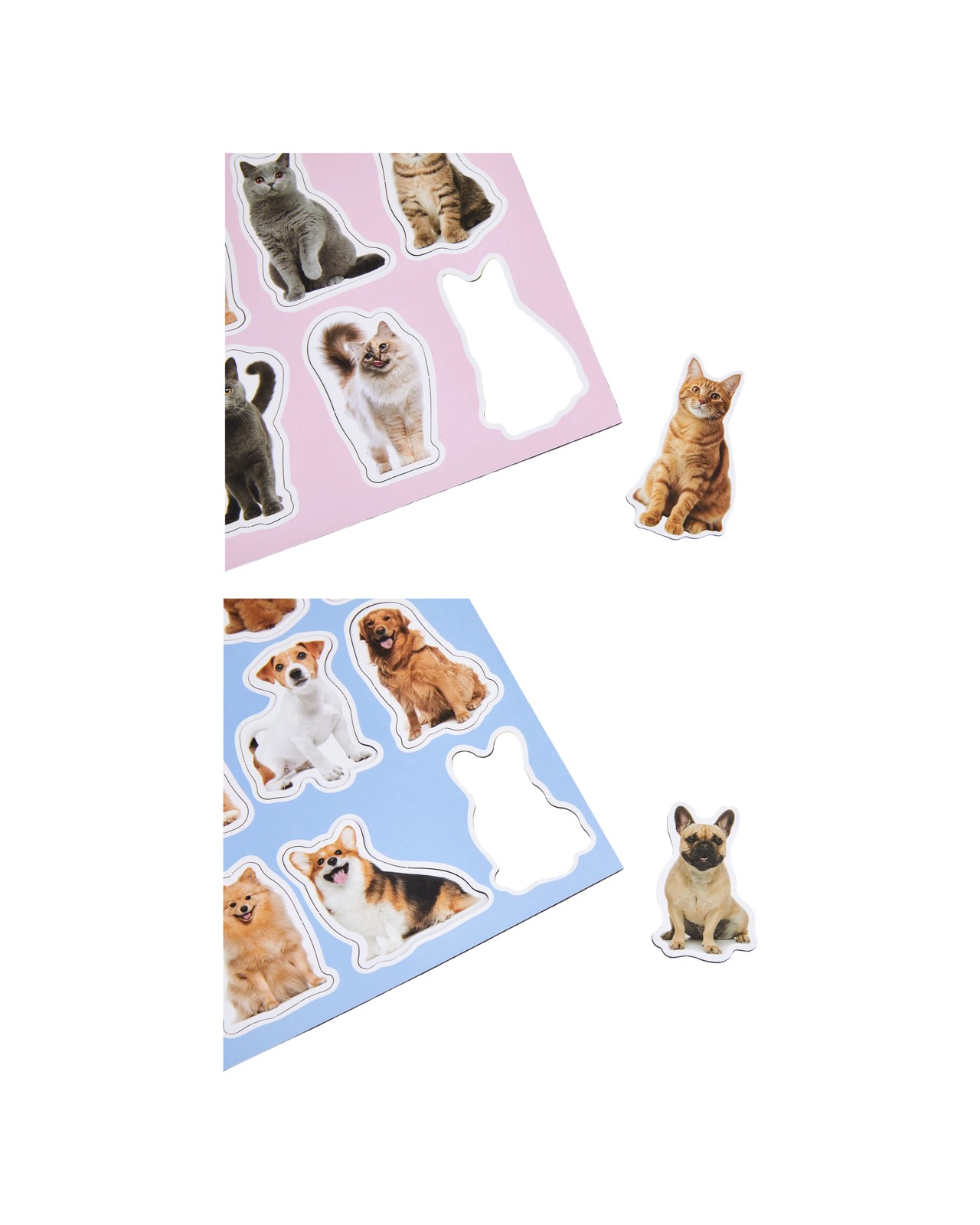 Anko Magnets - Assorted 3 of 3