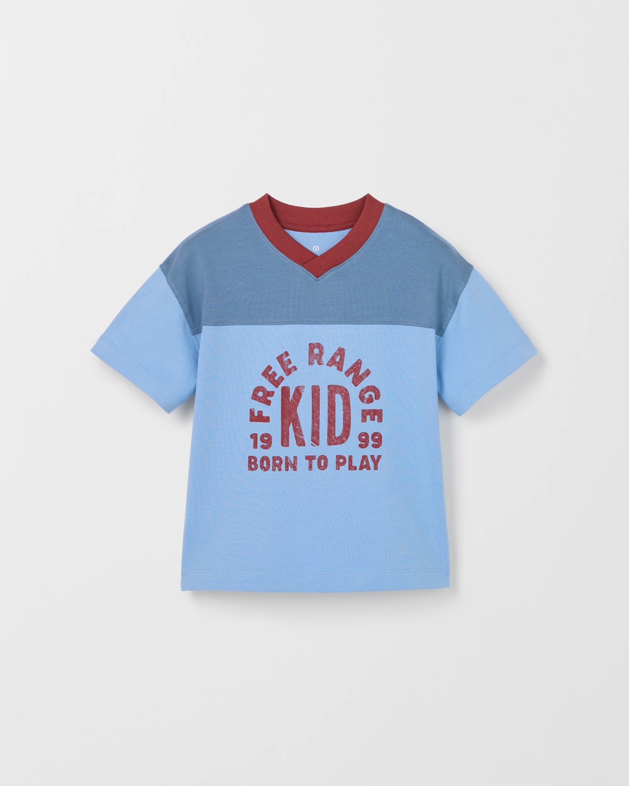 Australian Cotton Oversized V-Neck T-Shirt - Blue 5 of 6