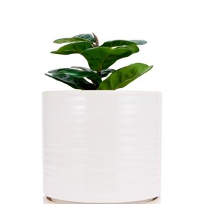 Anko Milk Look Glaze Ceramic Pot product image