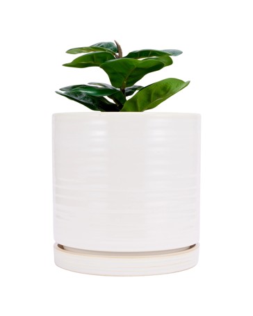 Anko Milk Look Glaze Ceramic Pot