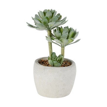 Artificial Succulents in Pot - Anko