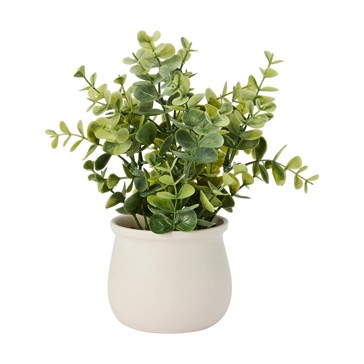 Artificial Dollar Gum Eucalyptus in Pot - Anko