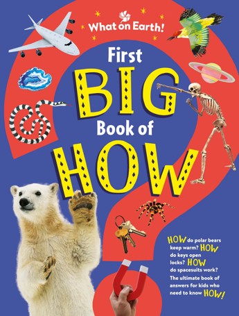 First Big Book of How by Sally Symes - Book