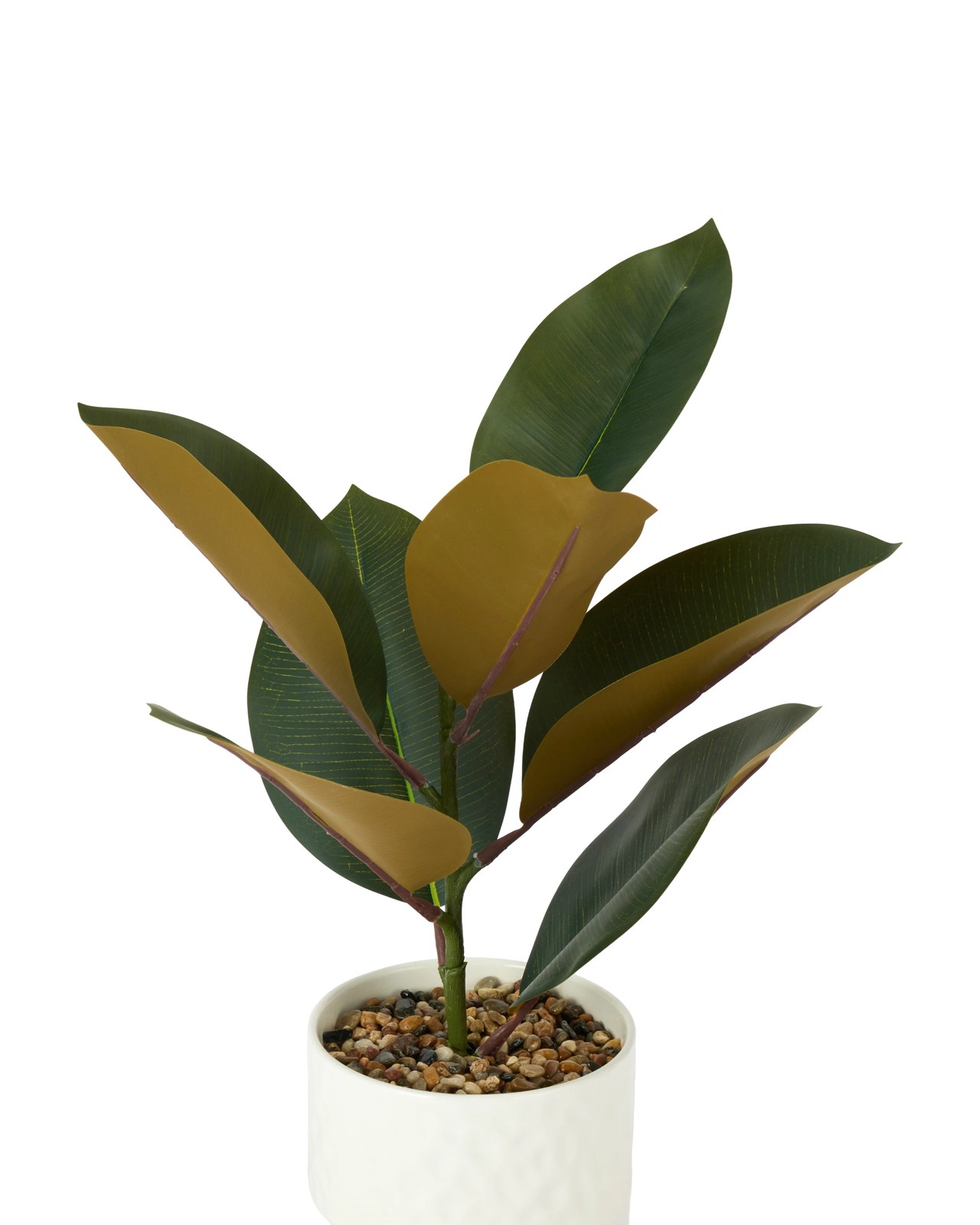 Anko Artificial Rubber Plant in Textured Pot 2 of 3