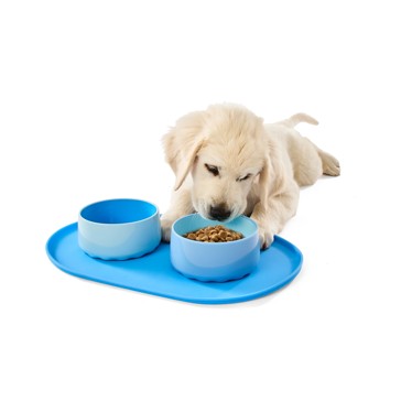 Puppy Bowl Starter Pack, Blue - Anko