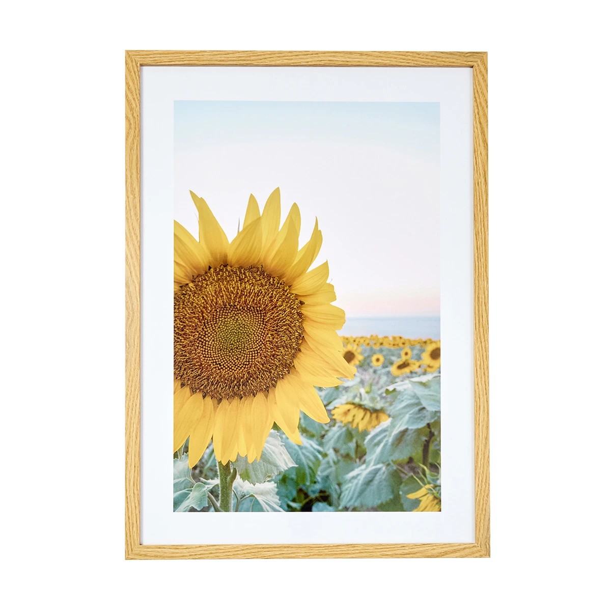 Framed Print - Anko | Target Australia