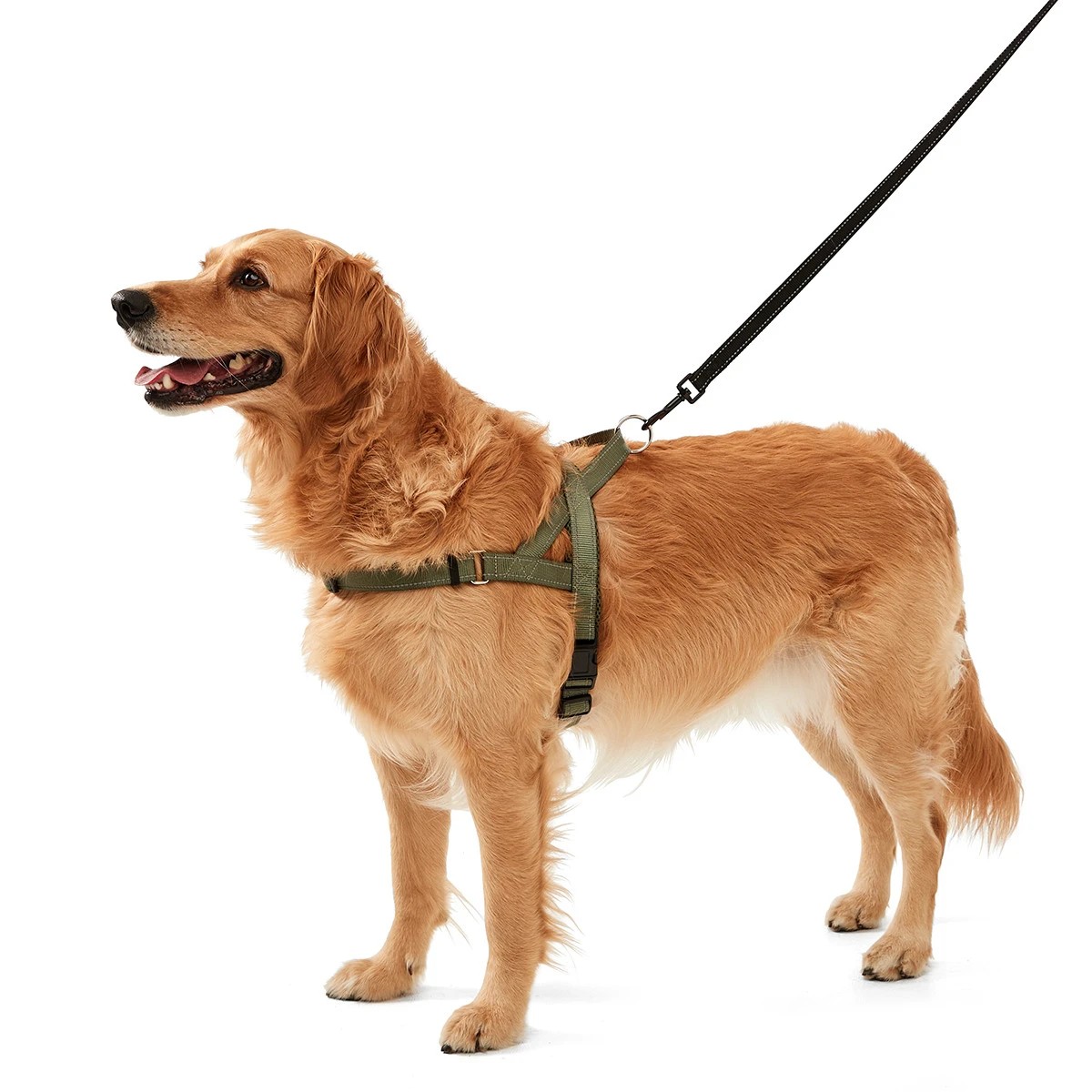 Target deals dog harness