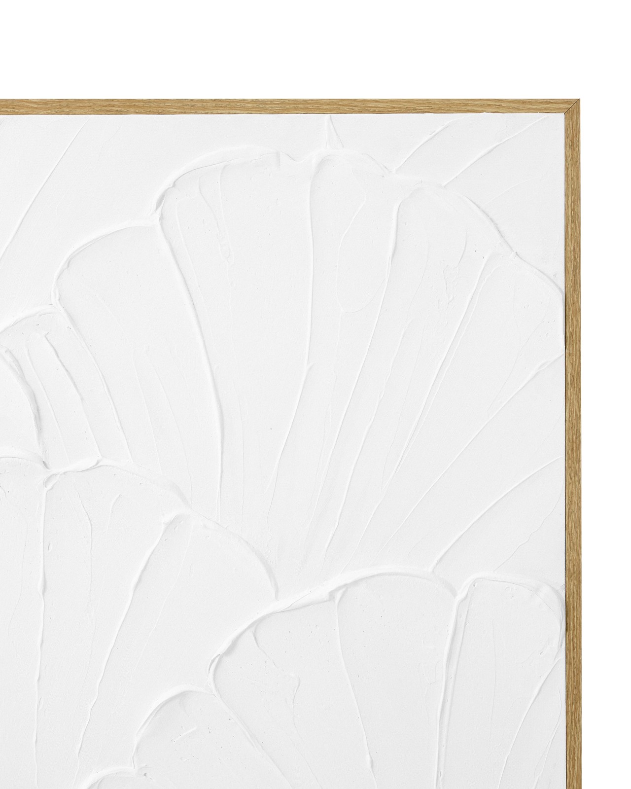 Textured Shell Framed Canvas - Anko 2 of 5
