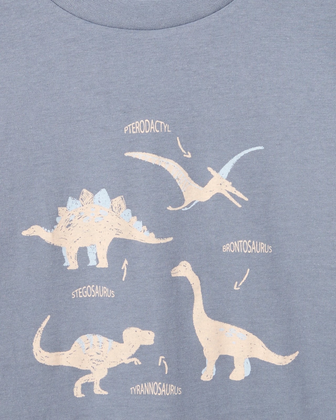 350_72081662_2+350T7208