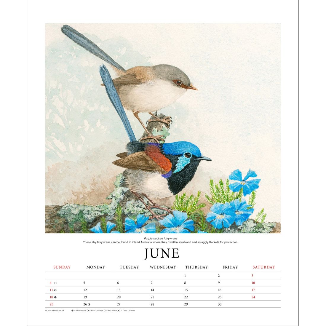 Illustrated Birds Of Australia 2023 Deluxe Calendar Target Australia