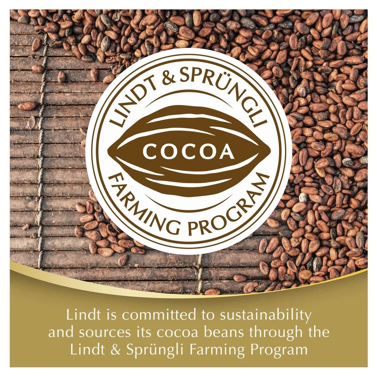 Lindt LINDOR Assorted Gift Box 150g 4 of 5