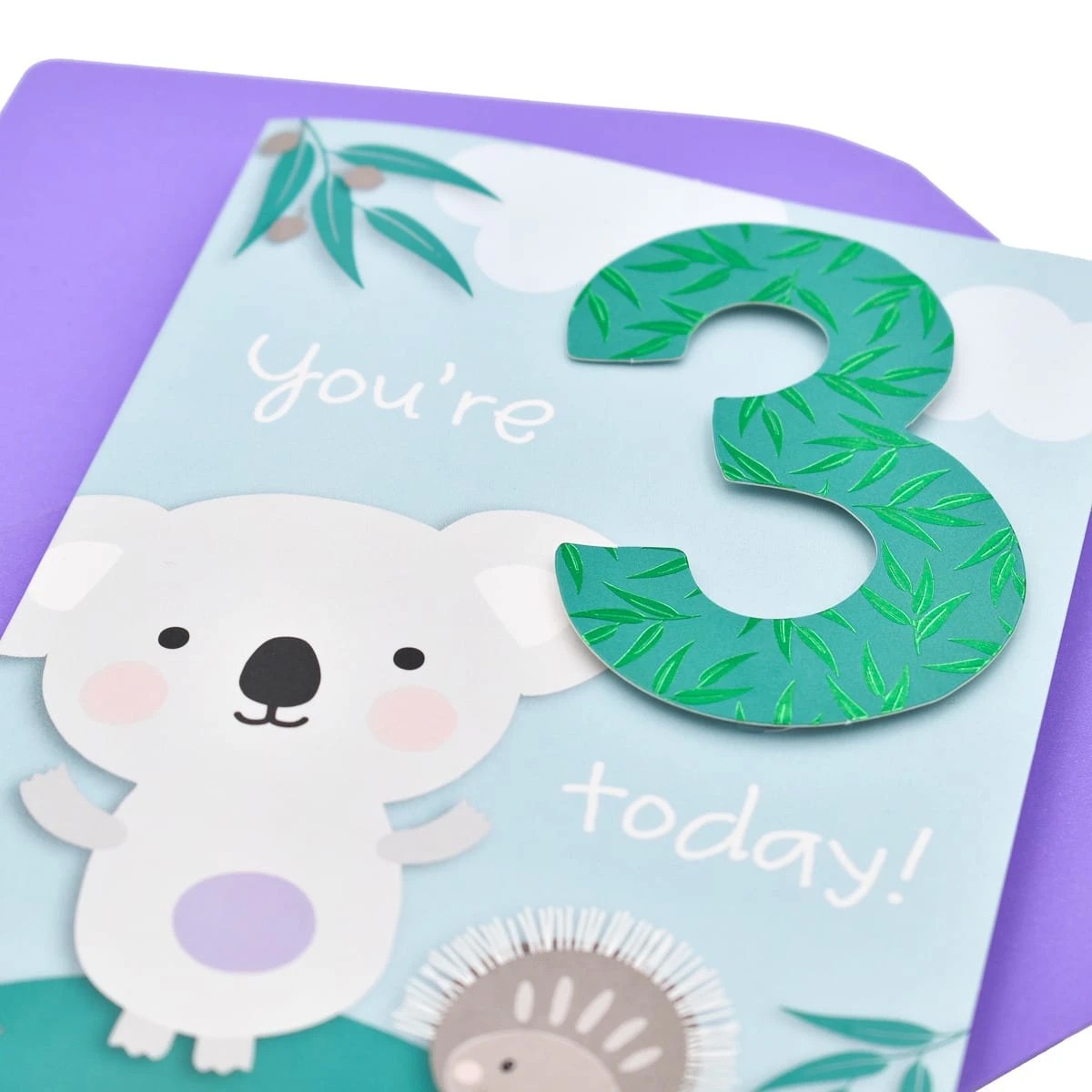 Hallmark Birthday Card Age 3 - Koala & Echidna 3 of 3